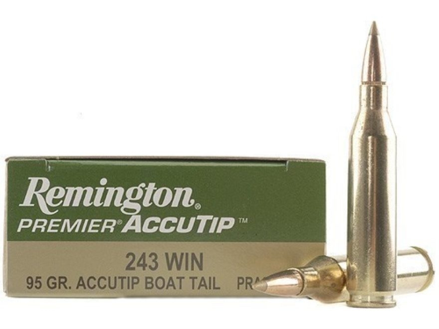 REMINGTON ACCUTIP 243 WIN 6,2g